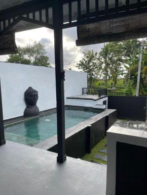 Launch Villa